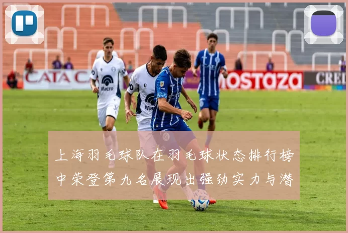上海羽毛球队在羽毛球状态排行榜中荣登第九名展现出强劲实力与潜力